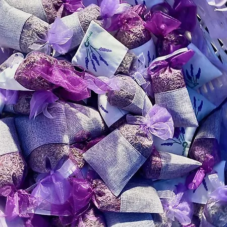 Ultimate Dream 公寓