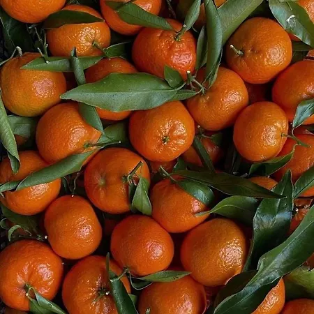 Ultimate Dream 公寓 *