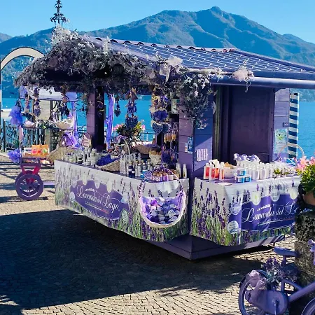 公寓 Ultimate Dream *