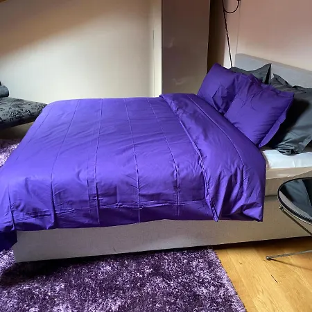 Ultimate Dream 梅纳焦