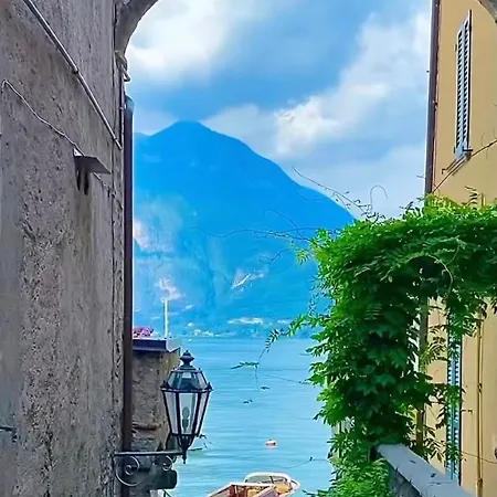 Ultimate Dream 梅纳焦