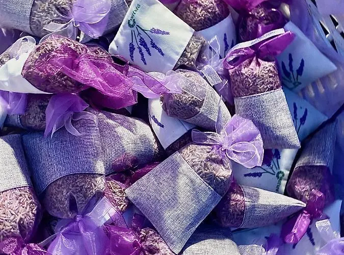 Ultimate Dream شقة
